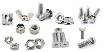 uu diem cua bu long oc vit