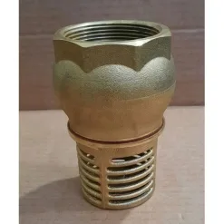 Rọ Bơm Đồng Itap.140 10 1 Foot valves ITAP