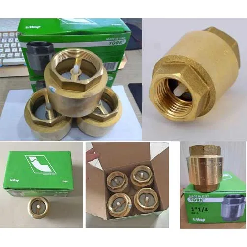 Van Một Chiều Itap.100 4 1 check valve ITAP 100