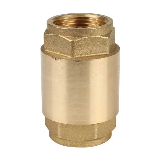 Van Một Chiều Itap.100 6 2 check valve ITAP 100