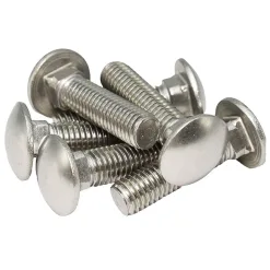 Carriage Bolts SS304 DIN 603