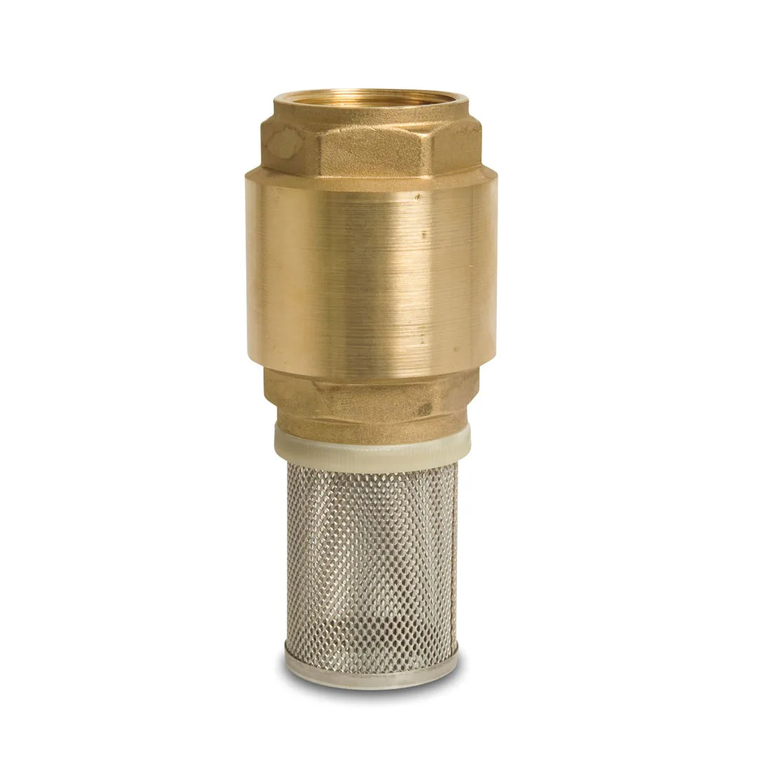 Rọ Bơm Đồng Itap.105 5 Foot valves ITap 105