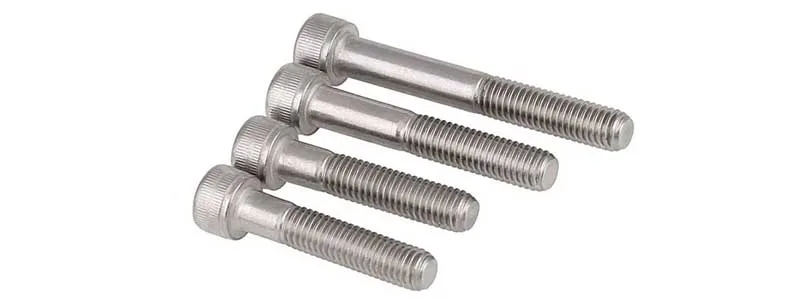 bu long luc giac chim inox 316 ren lung 1