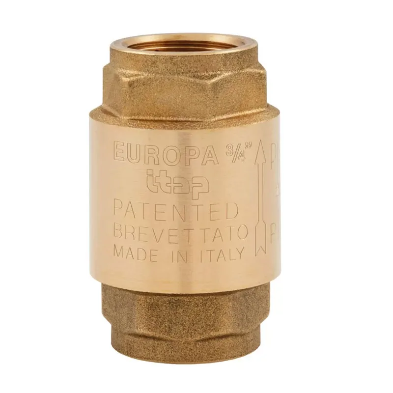 Van Một Chiều Itap.100 2 check valve ITAP.100