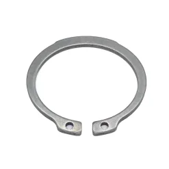 Phe Gài Trục Inox 420 DIN 471 D100x3.0