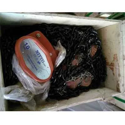 Pa Lăng Xích Kéo Tay Nitto 10 Tấn 3m 6 2 Pa Lang Nitto 90VP5