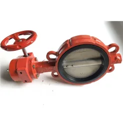 2 van buom samwoo tin hieu dien