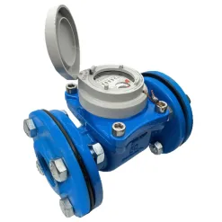 SANWA WOLTMAN WATER METER 4