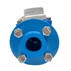 SANWA WOLTMAN WATER METER 5