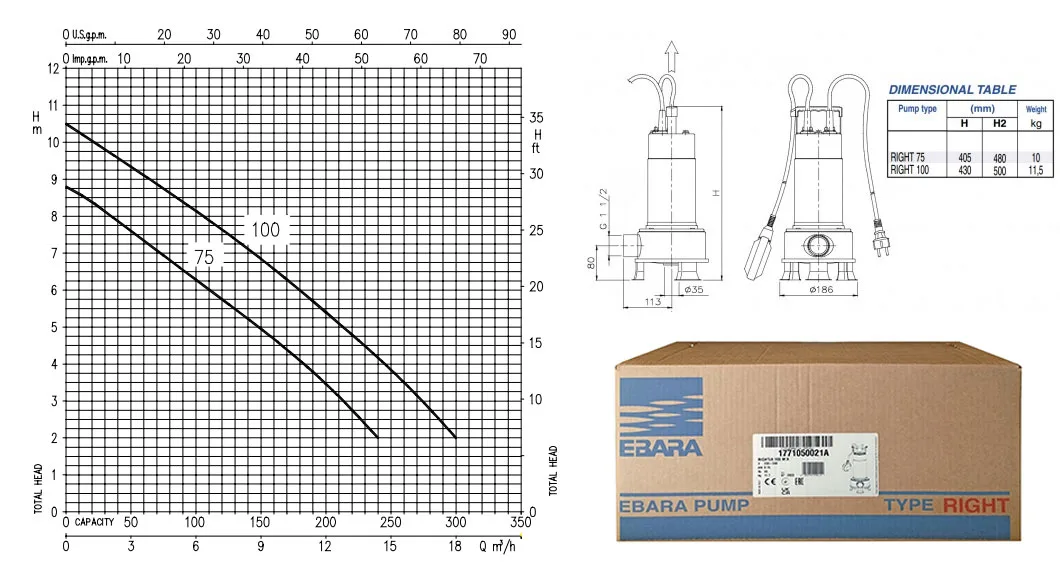 Máy Bơm Chìm Ebara RIGHT 100 1HP 3 so do luu luong may bom ebara right