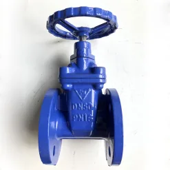 van cong samwoo noi bich 1