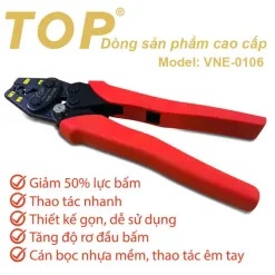 1 Top VNE 0106