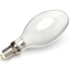 2 Bong Philips SON E CO