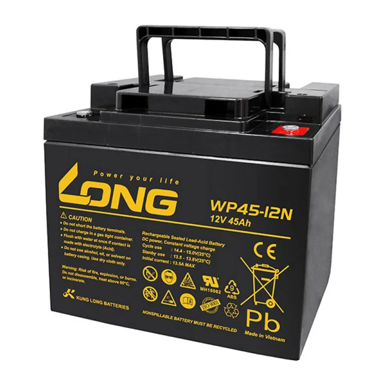 Ắc quy kín khí Long WP45-12N (12V-45Ah) 2 LONG WP45 12N
