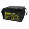 LONG WPL120 12RN
