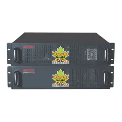 Bộ Lưu Điện UPS Santak RACK 10K